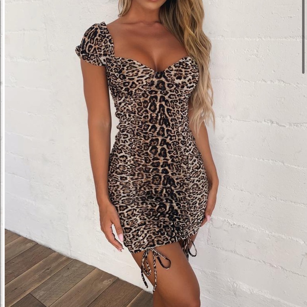Tiger mist Toronto dress